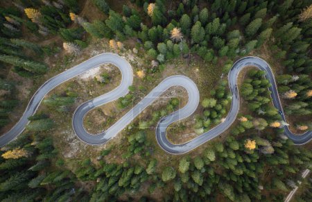 Winding road between the green forest - aerial view