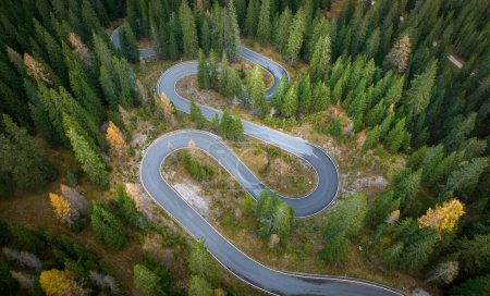 Téléchargez les photos : Route sinueuse entre la forêt verte - vue aérienne - en image libre de droit