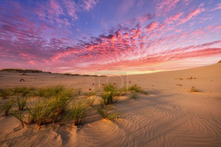 Wunderschöne Wüstenlandschaft in der goldenen Stunde