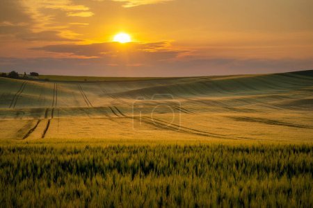 Foto de Hermoso amanecer sobre los campos de verano - Imagen libre de derechos