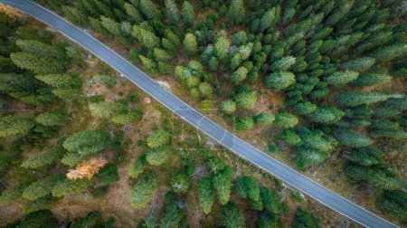 Téléchargez les photos : Vue asphale de la route entre la forêt - prise de vue aérienne - en image libre de droit