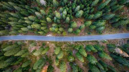 Téléchargez les photos : Route asphaltée entre la forêt - prise de vue aérienne - en image libre de droit