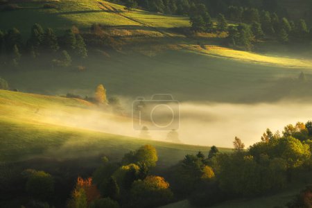 Téléchargez les photos : Belle matinée d'automne sur les collines brumeuses - en image libre de droit