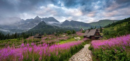 Photo for Beautiful summer morning in the mountains - Hala Gasienicowa in Poland - Tatras - Royalty Free Image