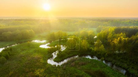 Foto de Hermosa mañana de primavera sobre el bosque y el río - vista aérea de drones - Imagen libre de derechos