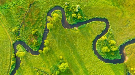 Téléchargez les photos : Rivière naturelle entre la forêt - vue aérienne - en image libre de droit