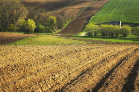 Foto de Hermoso paisaje rural de primavera con campos arados y una pequeña casa - Imagen libre de derechos