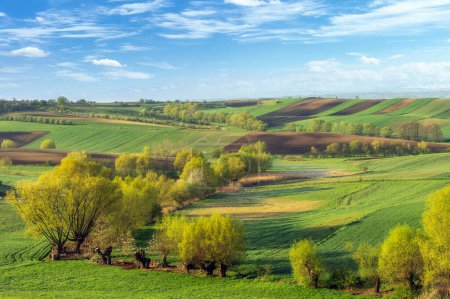 Photo for Beautiful spring rural landscape with plowed fields - Royalty Free Image