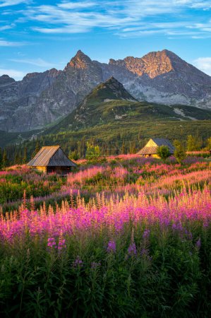 Foto de Hermosa mañana de verano en las montañas - Hala Gasienicowa en Polonia - Tatras - Imagen libre de derechos
