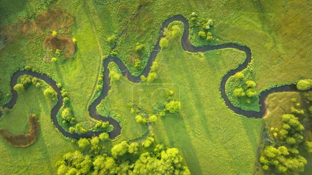 Foto de Río natural entre el bosque - vista aérea - Imagen libre de derechos