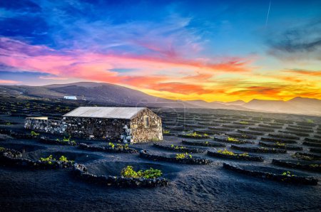 Foto de Hermosa puesta de sol sobre La Geria en la isla de Lanzarote. Tipo tradicional de plantación de vid en campos de lava agujeros - Imagen libre de derechos
