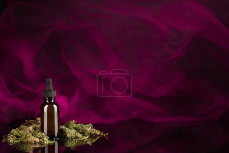 Photo for Bottle with dropper and dried medicinal marichua, CBD on a purple background. Copy space for text. - Royalty Free Image