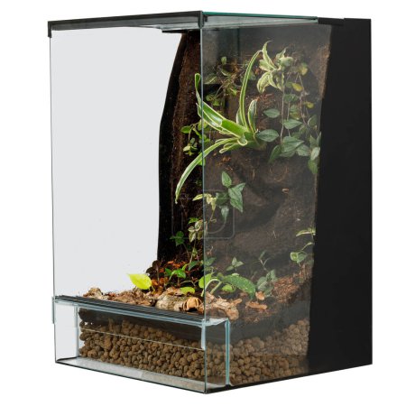 Modernes Terrarium mit verschiedenen üppigen Pflanzen und geschichtetem Substrat