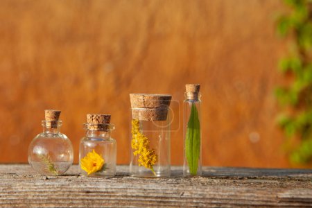 Natürliche ätherische Öle und Kräuter in Flaschen