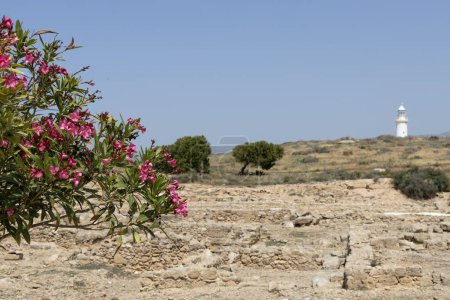 Vista del faro en medio de la naturaleza. Museo Arqueológico de los Paphos.
