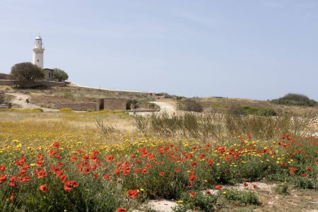 Paphos Lighthouse and Wildflower Meadow. Archaeological Park
