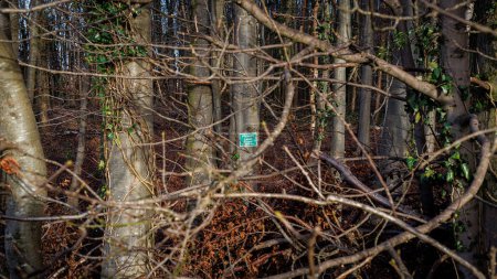 Téléchargez les photos : Signe dans un bois anglais indiquant propriété privée - en image libre de droit