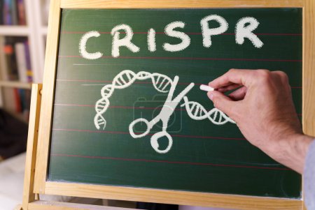 Photo for Professor teaching the CRISPR technique on a blackboard. - Royalty Free Image