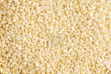 Téléchargez les photos : Gros plan de lots de graines de sésame blanc. Fond de graines de sésame - en image libre de droit