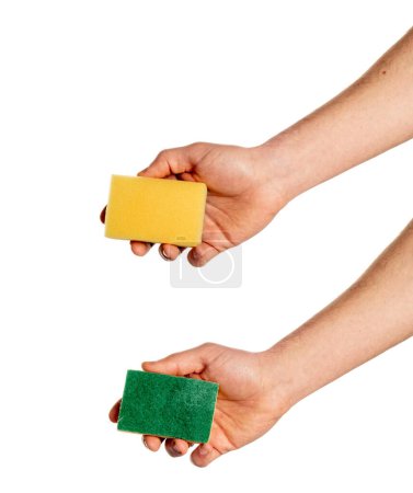 Photo for Hand holding yellow Sponge isolated on white background. - Royalty Free Image