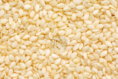 Téléchargez les photos : Gros plan de lots de graines de sésame blanc. Fond de graines de sésame. - en image libre de droit