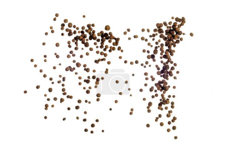 Photo for Freeze motion of flying mix of allspice isolated on white background. Concept of flying food - Royalty Free Image