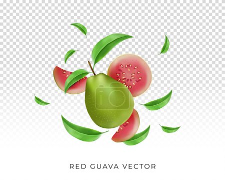 Ilustración de Pink guava fruit vector set with leaf. fruits for juice poster or banner design - Imagen libre de derechos