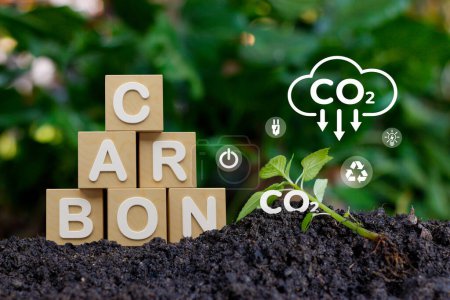 Photo for Carbon-neutral and net zero emissions concepts promoting sustainability and eco-friendliness. Our climate-neutral strategy targets greenhouse gas reduction, emphasizing renewable energy and environmental conservation. Join our journey towards a green - Royalty Free Image