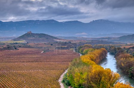 Téléchargez les photos : Vignobles dans la province de La Rioja en Espagne - en image libre de droit
