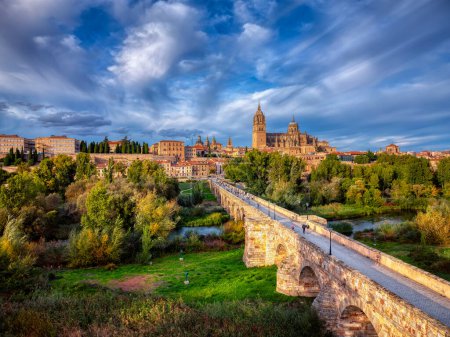 Aerial view of Salamanca with the cathedral in the background and the roman bridge in the foreground.