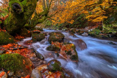 Foto de Bosque de Redes en Asturias, España.Brillante paisaje acuático de rápido río rocoso. Paisajes otoñales - Imagen libre de derechos