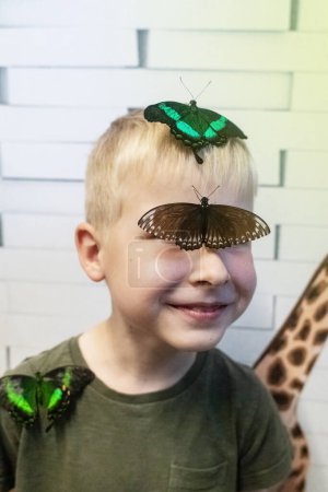 Téléchargez les photos : Le papillon hirondelle d'émeraude et les polytes papilio sont assis sur un visage d'enfant. Le garçon blond regarde dans le cadre avec surprise. Insectes tropicaux inoffensifs. - en image libre de droit
