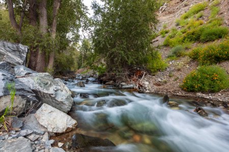 Foto de Rio Hondo flowing snow-melt water down from Taos Ski Valley, New Mexico. Water from small rivers like this is important resource for irrigation needs on high altitude desert environments like Taos Valley. - Imagen libre de derechos