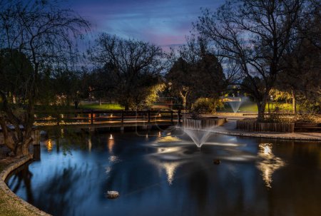 Foto de Duck Pond at the University of New Mexico grounds in Albuquerque. It was built in the late 1970's and it has over the decades become a delight to students as well as non-students in the dry desert city. - Imagen libre de derechos