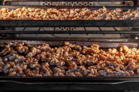 Photo for Walnuts drying in oven after they were rinsed. The practice of rinsing nuts and seeds makes them more digestable. - Royalty Free Image