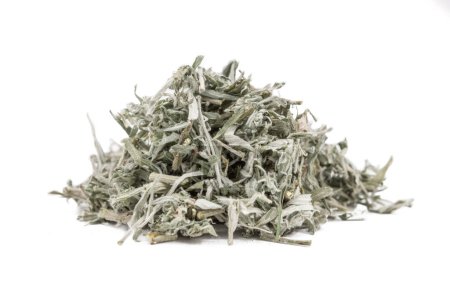 Foto de Hierba seca estafiada, Artemisia ludoviciana, sagebrush blanco aislado sobre fondo blanco. A pesar de su nombre no está relacionado con la salvia. - Imagen libre de derechos