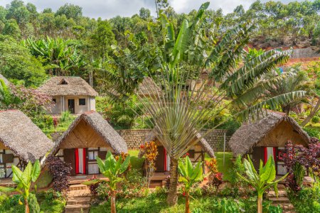 Foto de Hermosas casas con techo de paja en la selva con palmeras en el Parque Nacional Andasibe, - Imagen libre de derechos