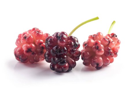 Téléchargez les photos : Mûr bio mûr mûrier fruits isolés sur blanc - en image libre de droit