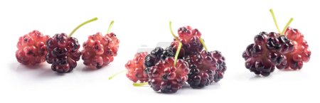 Foto de Frutas maduras de morera orgánica aisladas en blanco - Imagen libre de derechos