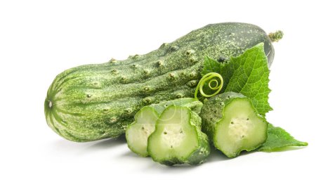 Photo for Cucumber and slices isolated on white background - Royalty Free Image