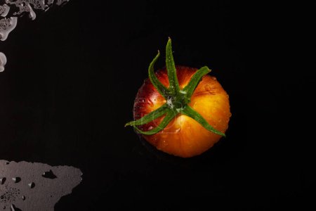 Photo for Wet yellow-red striped tomato on black wet background with water drops - Royalty Free Image