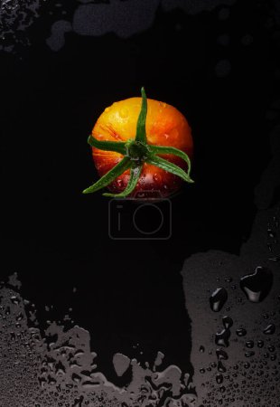 Photo for Wet yellow-red striped tomato on black wet background with water drops - Royalty Free Image