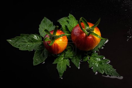 Photo for Wet yellow red striped tomatoes on black wet background with water drops - Royalty Free Image