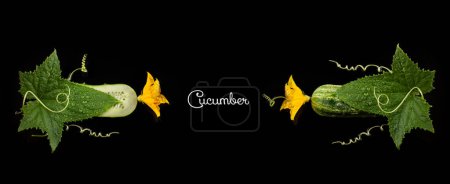 Téléchargez les photos : Tranches de concombre avec fleur, feuille et vrille spirale sur fond noir - en image libre de droit