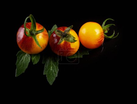 Foto de Tomates a rayas rojos amarillos húmedos sobre fondo húmedo negro con gotas de agua - Imagen libre de derechos