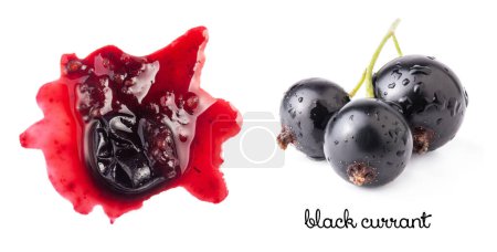Photo for Smashed black currant berries isolated on white background - Royalty Free Image