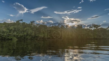 Photo for Colombian rainforest view from the river - Royalty Free Image
