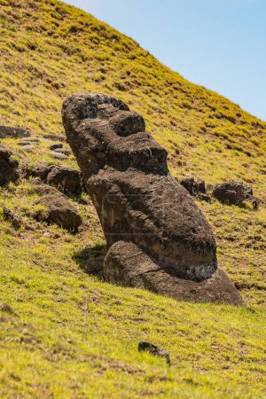 Photo for Moai statues in the Rano Raraku Volcano in Easter Island, Rapa Nui National Park, Chile - Royalty Free Image