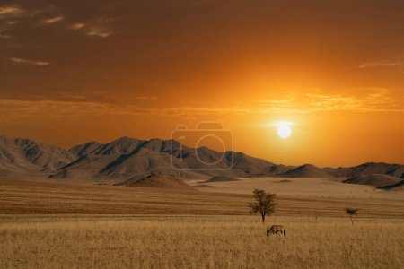 Namibische Wüste mit Oryx im Vordergrund und Sanddünen im Hintergrund Namibia