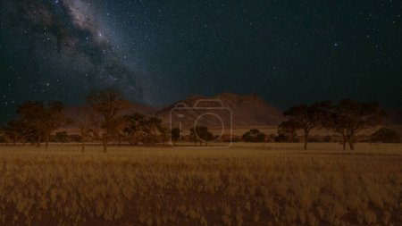 Foto de Desierto de Namibia con la Vía Láctea al fondo - Imagen libre de derechos